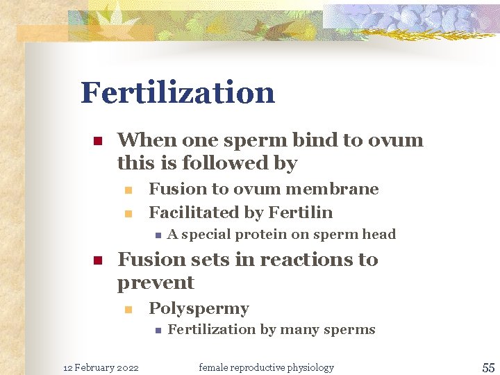 Fertilization n When one sperm bind to ovum this is followed by n n