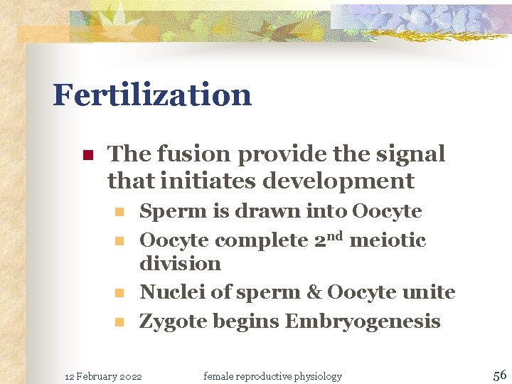 Fertilization n The fusion provide the signal that initiates development n n Sperm is