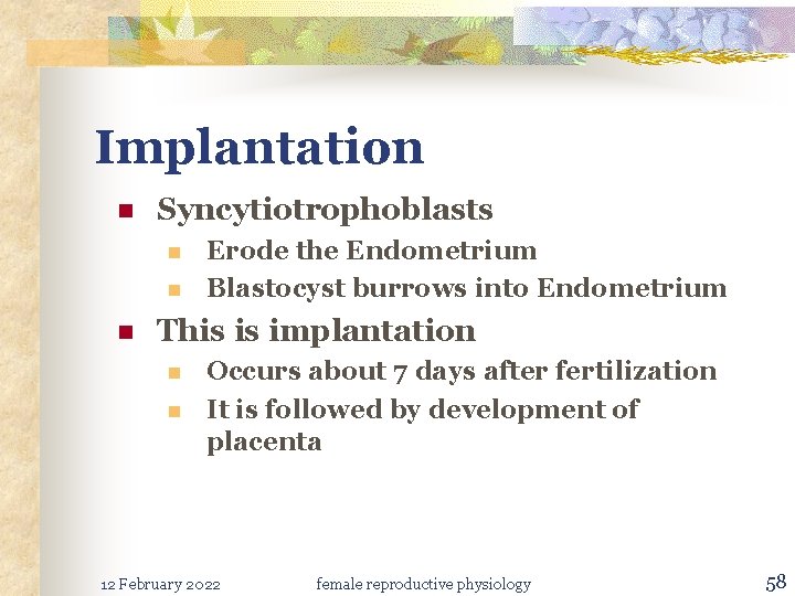 Implantation n Syncytiotrophoblasts n n n Erode the Endometrium Blastocyst burrows into Endometrium This