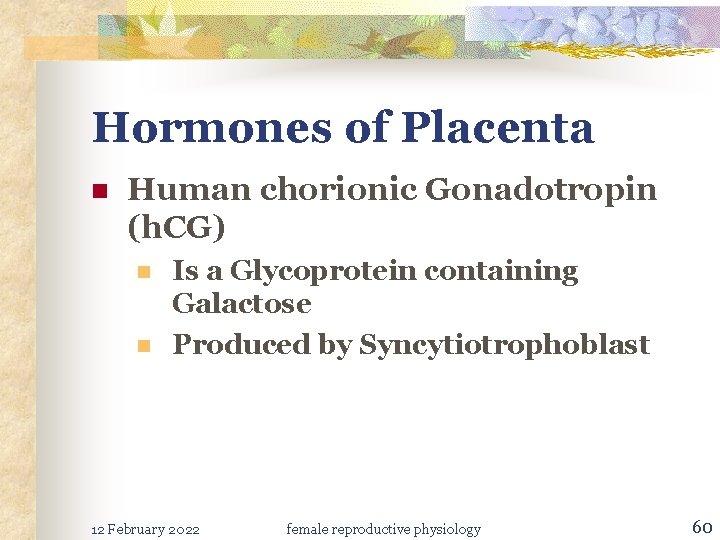 Hormones of Placenta n Human chorionic Gonadotropin (h. CG) n n Is a Glycoprotein