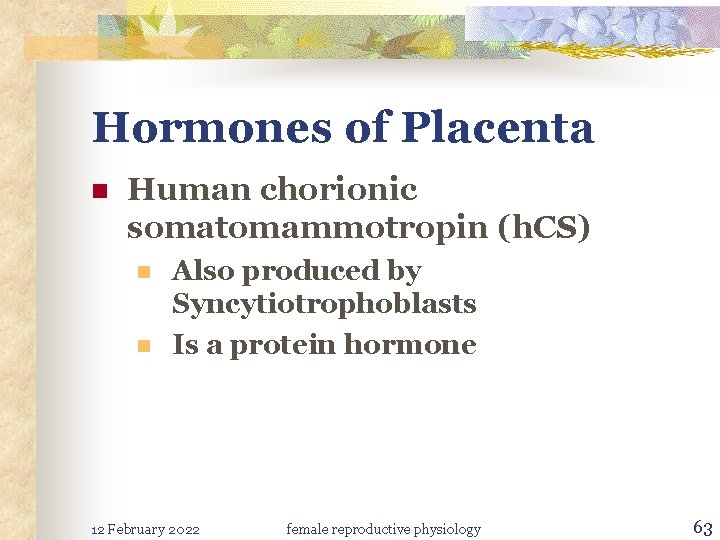 Hormones of Placenta n Human chorionic somatomammotropin (h. CS) n n Also produced by