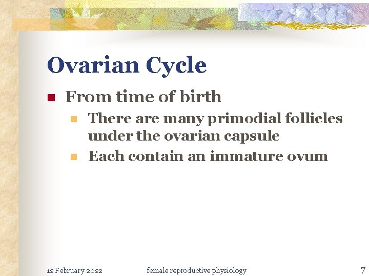 Ovarian Cycle n From time of birth n n There are many primodial follicles