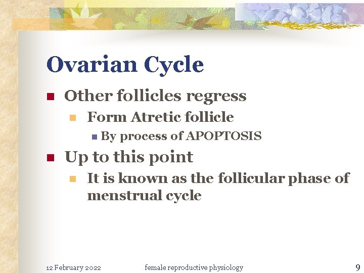 Ovarian Cycle n Other follicles regress n Form Atretic follicle n By n process