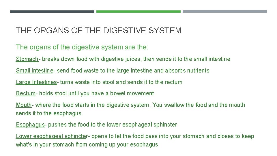THE ORGANS OF THE DIGESTIVE SYSTEM The organs of the digestive system are the: