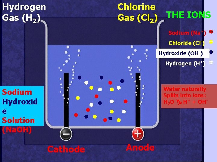 Hydrogen Gas (H 2) Chlorine Gas (Cl 2) THE IONS Sodium (Na+) Chloride (Cl-)
