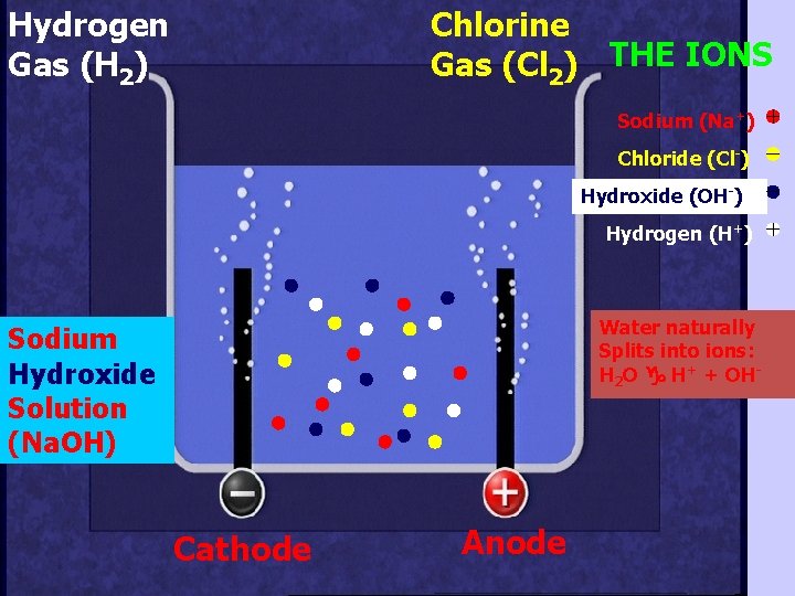 Hydrogen Gas (H 2) Chlorine Gas (Cl 2) THE IONS Sodium (Na+) Chloride (Cl-)