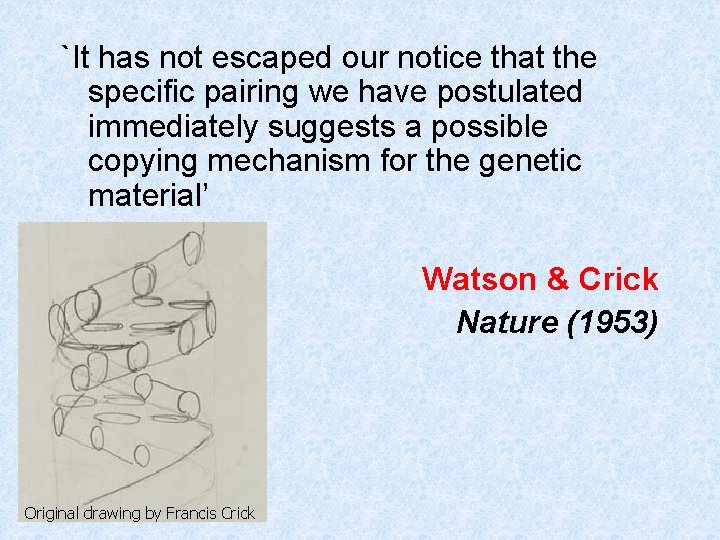 `It has not escaped our notice that the specific pairing we have postulated immediately