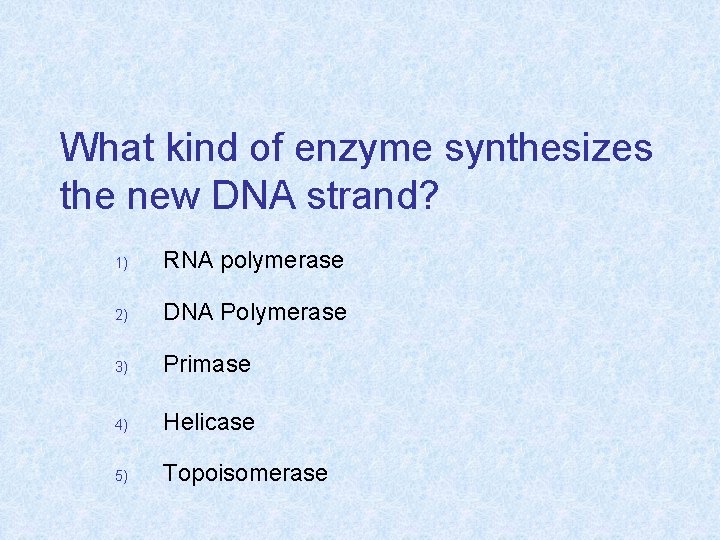 What kind of enzyme synthesizes the new DNA strand? 1) RNA polymerase 2) DNA