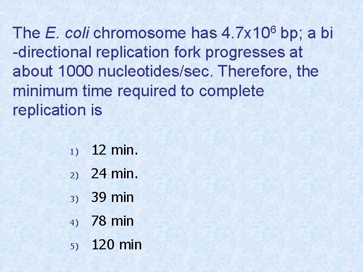 The E. coli chromosome has 4. 7 x 106 bp; a bi -directional replication
