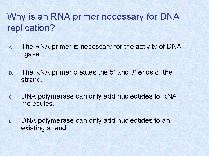 Why is an RNA primer necessary for DNA replication? A. B. C. D. The