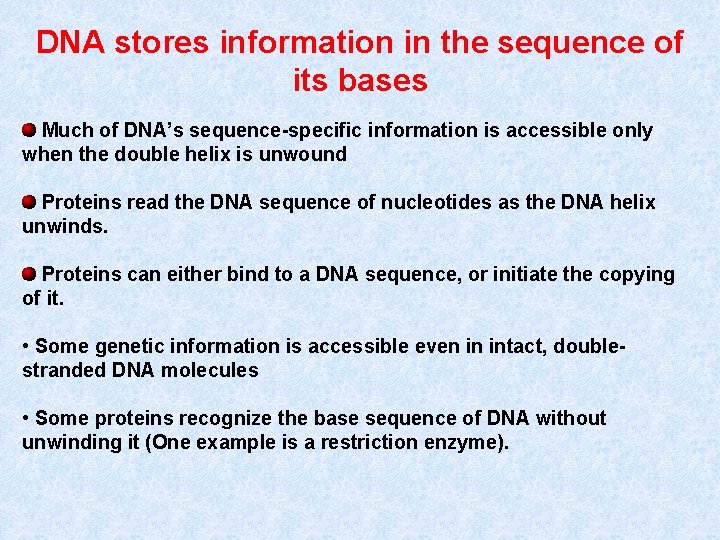 DNA stores information in the sequence of its bases Much of DNA’s sequence-specific information