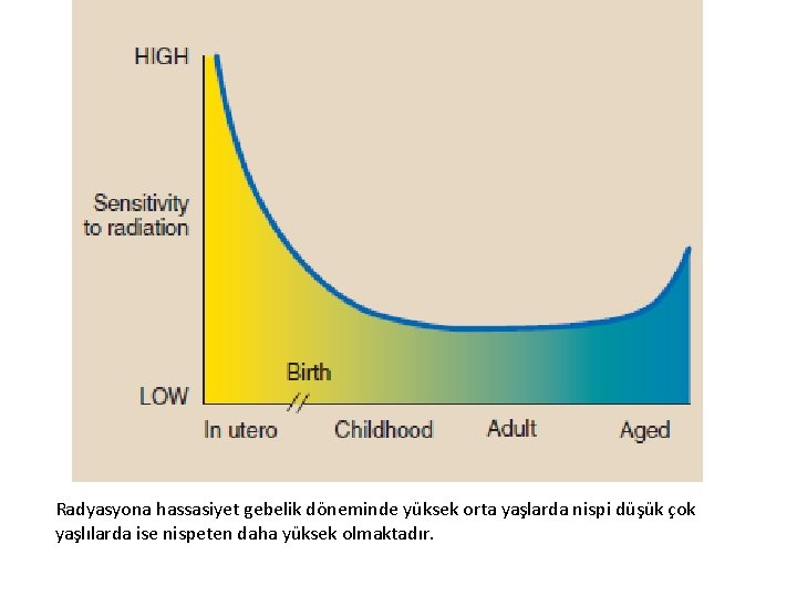 Radyasyona hassasiyet gebelik döneminde yüksek orta yaşlarda nispi düşük çok yaşlılarda ise nispeten daha