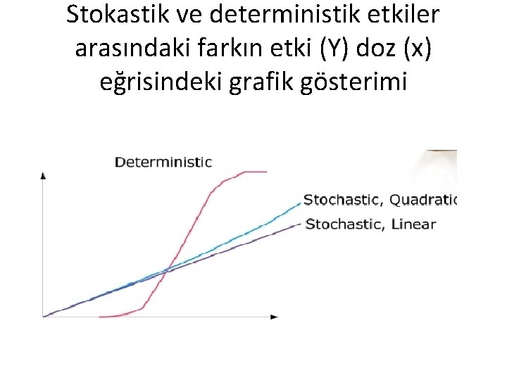 Stokastik ve deterministik etkiler arasındaki farkın etki (Y) doz (x) eğrisindeki grafik gösterimi 