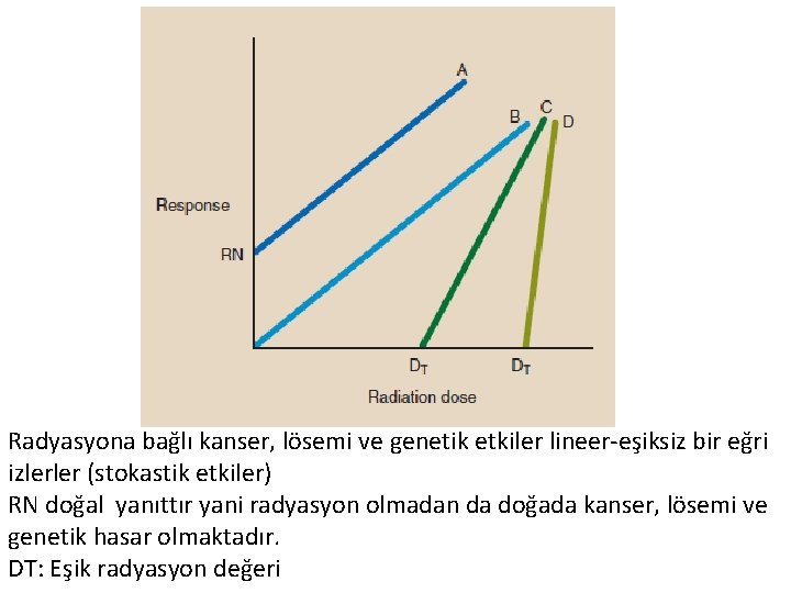 Radyasyona bağlı kanser, lösemi ve genetik etkiler lineer-eşiksiz bir eğri izlerler (stokastik etkiler) RN