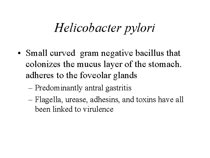 Helicobacter pylori • Small curved gram negative bacillus that colonizes the mucus layer of
