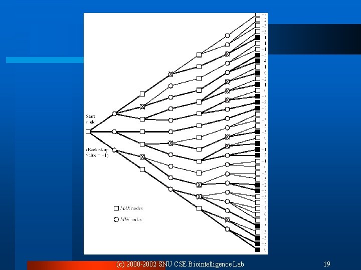 (c) 2000 -2002 SNU CSE Biointelligence Lab 19 (c) 2000 -2002 SNU CSE Biointelligence Lab 19