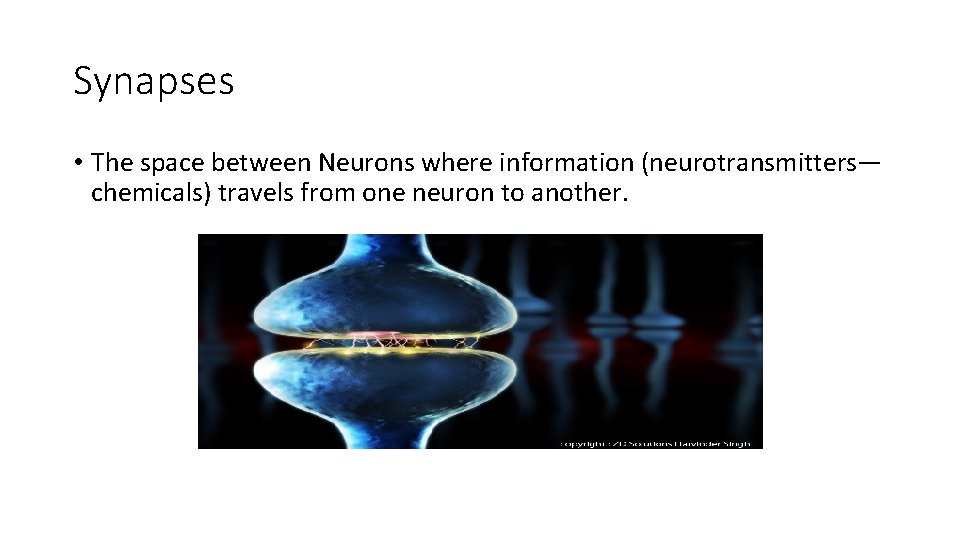 Synapses • The space between Neurons where information (neurotransmitters— chemicals) travels from one neuron