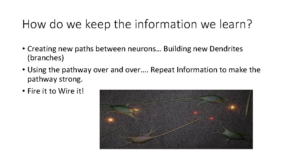 How do we keep the information we learn? • Creating new paths between neurons…