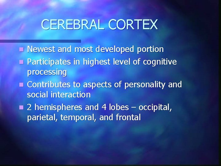 CEREBRAL CORTEX n n Newest and most developed portion Participates in highest level of CEREBRAL CORTEX n n Newest and most developed portion Participates in highest level of