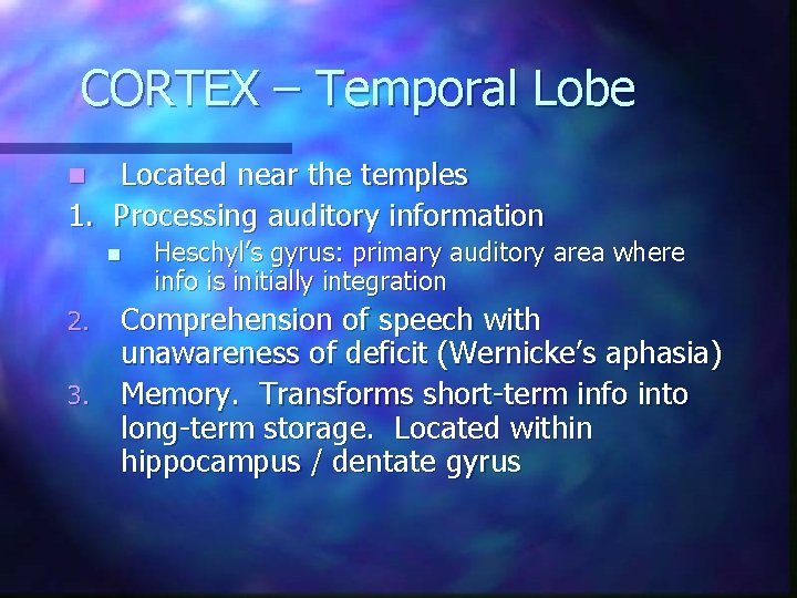 CORTEX – Temporal Lobe Located near the temples 1. Processing auditory information n n CORTEX – Temporal Lobe Located near the temples 1. Processing auditory information n n