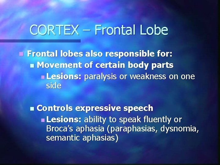 CORTEX – Frontal Lobe n Frontal lobes also responsible for: n Movement of certain CORTEX – Frontal Lobe n Frontal lobes also responsible for: n Movement of certain