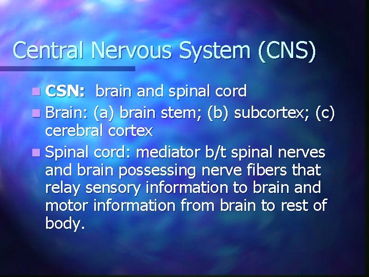 Central Nervous System (CNS) n CSN: brain and spinal cord n Brain: (a) brain Central Nervous System (CNS) n CSN: brain and spinal cord n Brain: (a) brain