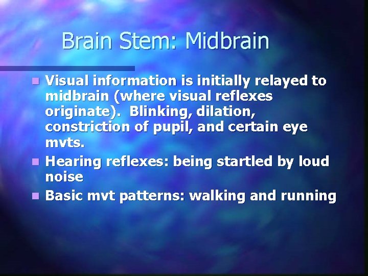 Brain Stem: Midbrain Visual information is initially relayed to midbrain (where visual reflexes originate). Brain Stem: Midbrain Visual information is initially relayed to midbrain (where visual reflexes originate).