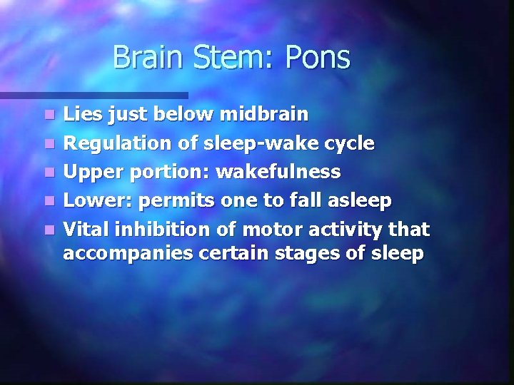 Brain Stem: Pons n n n Lies just below midbrain Regulation of sleep-wake cycle Brain Stem: Pons n n n Lies just below midbrain Regulation of sleep-wake cycle