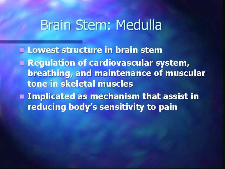 Brain Stem: Medulla Lowest structure in brain stem n Regulation of cardiovascular system, breathing, Brain Stem: Medulla Lowest structure in brain stem n Regulation of cardiovascular system, breathing,