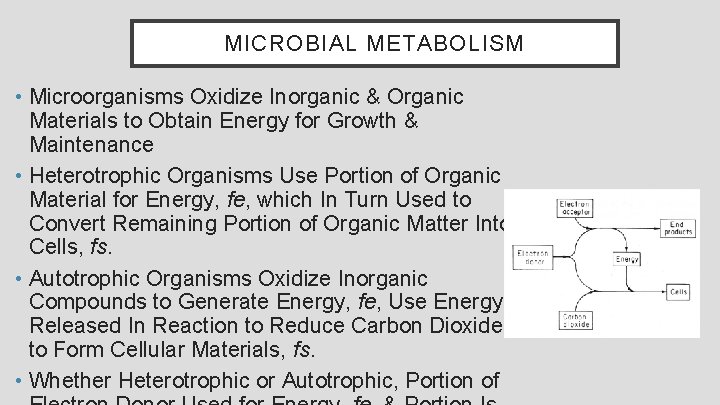 MICROBIAL METABOLISM • Microorganisms Oxidize Inorganic & Organic Materials to Obtain Energy for Growth