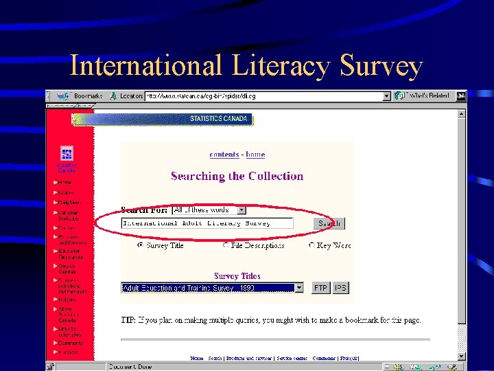 International Literacy Survey 