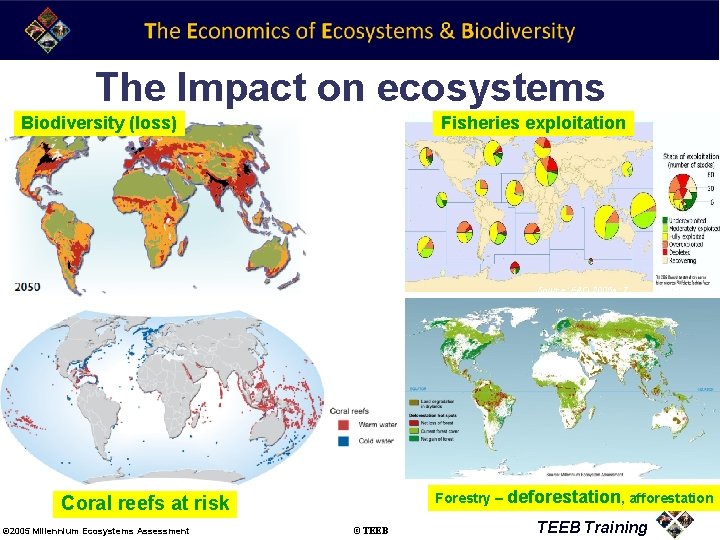 The Impact on ecosystems Biodiversity (loss) Fisheries exploitation Source: FAO 2005 a: 7 Forestry