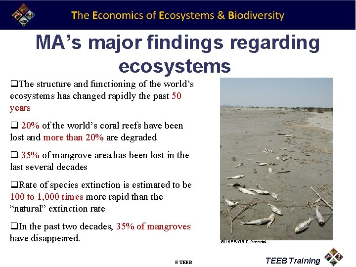 MA’s major findings regarding ecosystems q. The structure and functioning of the world’s ecosystems