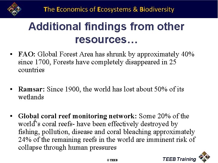 Additional findings from other resources… • FAO: Global Forest Area has shrunk by approximately