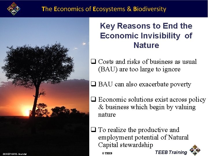 Key Reasons to End the Economic Invisibility of Nature q Costs and risks of