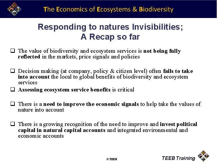 Responding to natures Invisibilities; A Recap so far q The value of biodiversity and