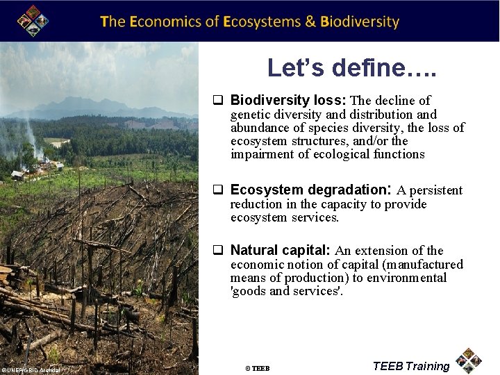 Let’s define…. q Biodiversity loss: The decline of genetic diversity and distribution and abundance