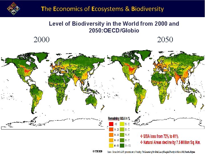 Level of Biodiversity in the World from 2000 and 2050: OECD/Globio 2000 2050 ©TEEB