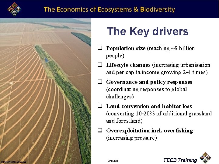 The Key drivers q Population size (reaching ~9 billion people) q Lifestyle changes (increasing