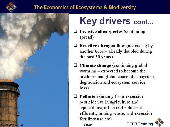 Key drivers cont… q Invasive alien species (continuing spread) q Reactive nitrogen flow (increasing