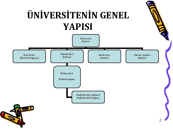 ÜNİVERSİTENİN GENEL YAPISI Üniversite Rektör Enstitüler (Enstitü başkanı) Fakülte(ler) (Dekan) Merkezler (müdür) Yüksek okulları