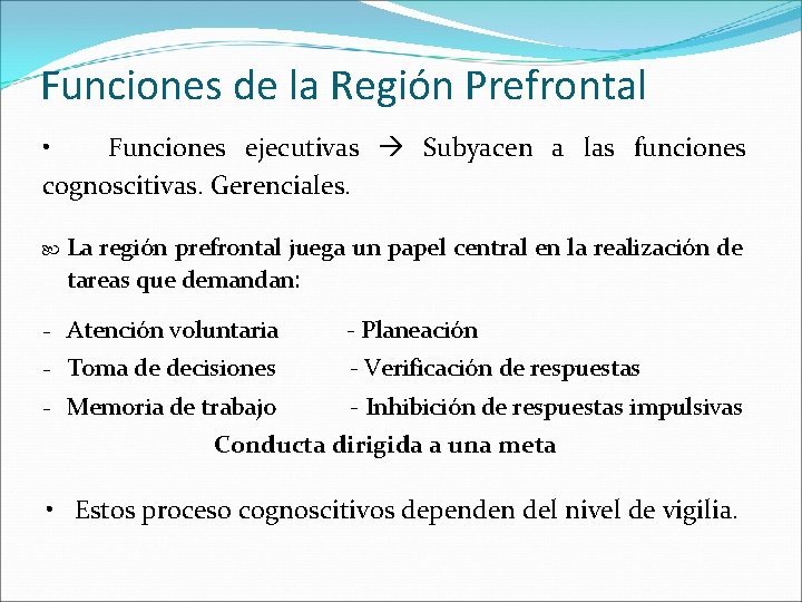 Funciones de la Región Prefrontal • Funciones ejecutivas Subyacen a las funciones cognoscitivas. Gerenciales.