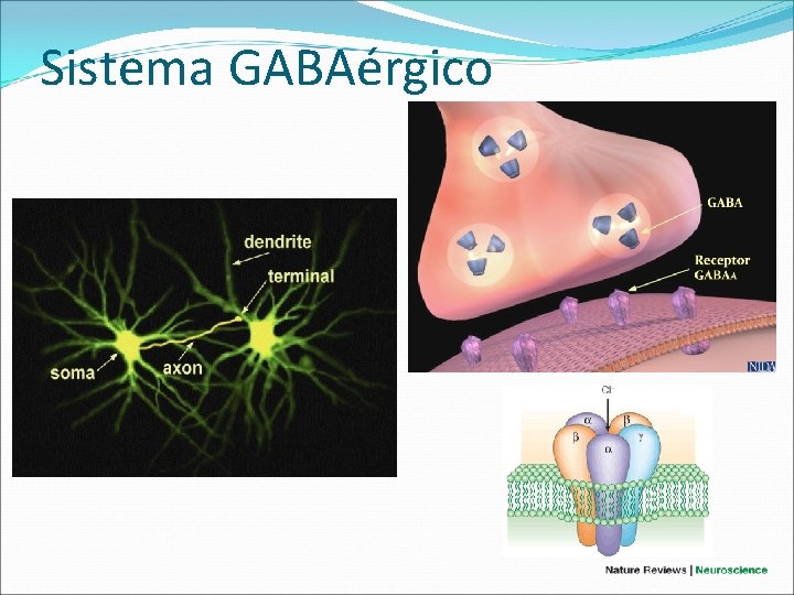 Sistema GABAérgico 