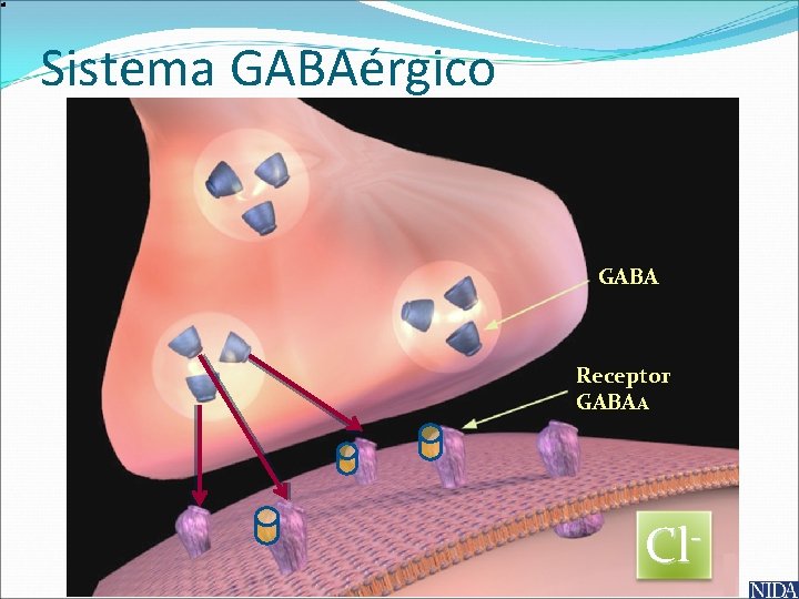 Sistema GABAérgico GABA Receptor GABAA Cl- 