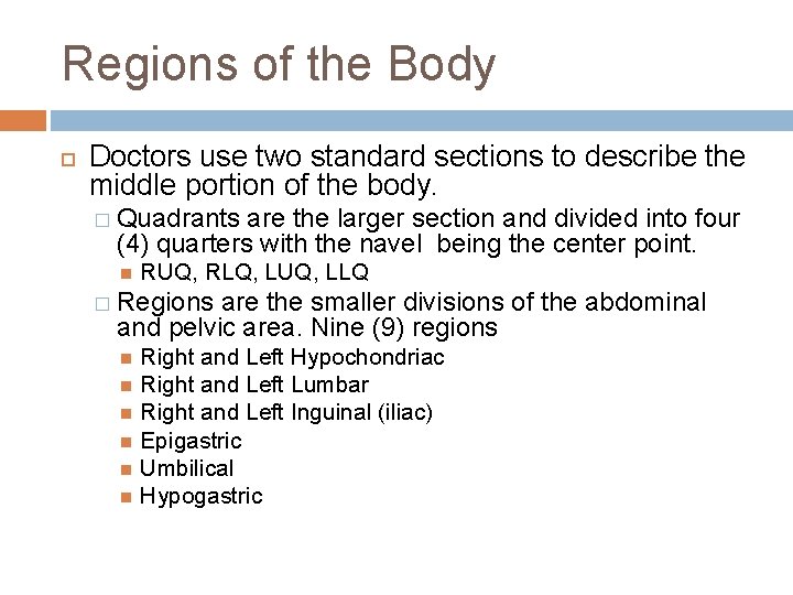 Regions of the Body Doctors use two standard sections to describe the middle portion