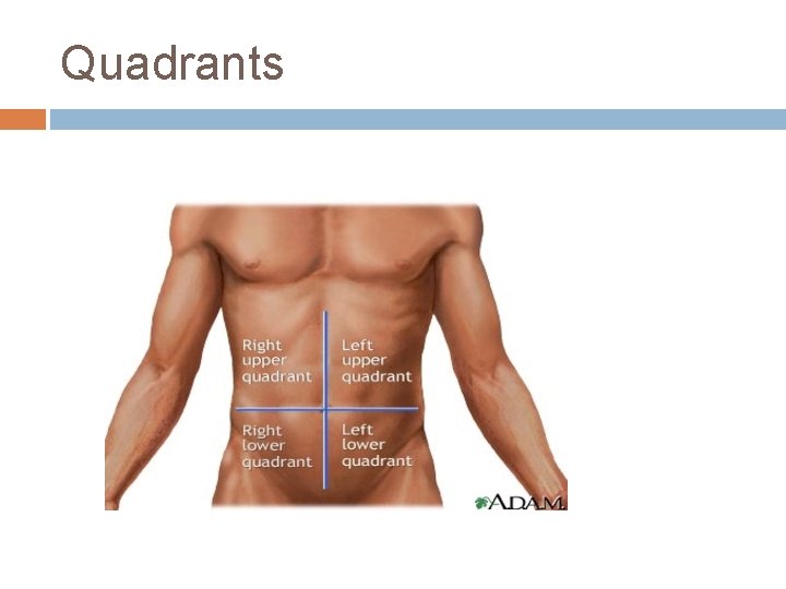 Quadrants 