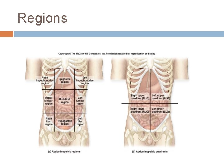 Regions 