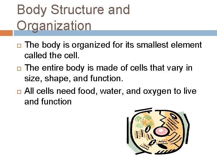 Body Structure and Organization The body is organized for its smallest element called the