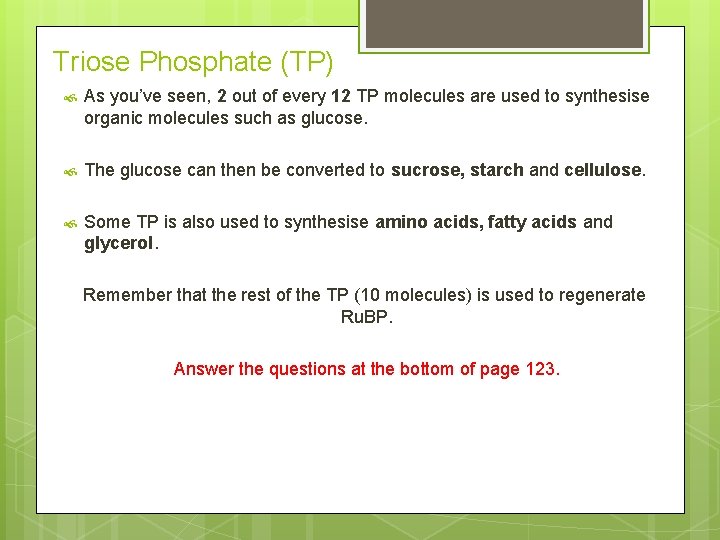 Triose Phosphate (TP) As you’ve seen, 2 out of every 12 TP molecules are