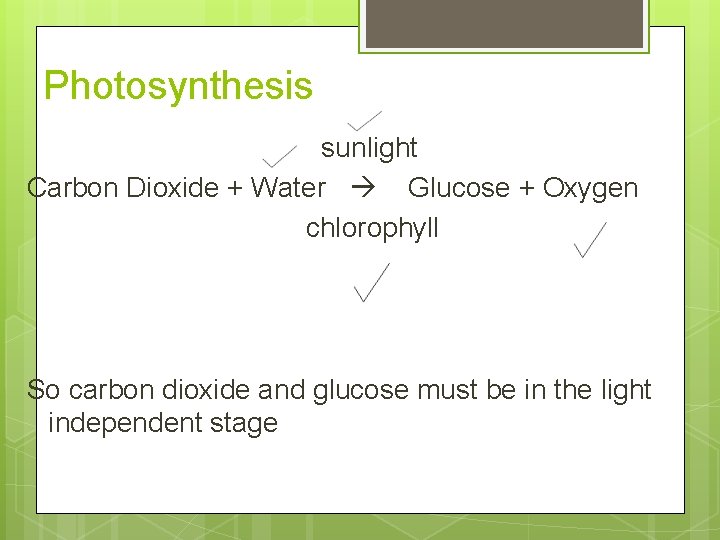 Photosynthesis sunlight Carbon Dioxide + Water Glucose + Oxygen chlorophyll So carbon dioxide and